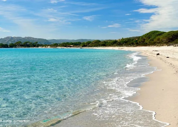 Bel Spacieux A Porto-vecchio, 10min A Pieds Du Centre Apartment