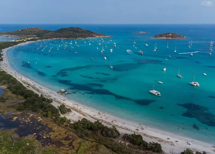 Bel Spacieux A Porto-vecchio, 10min A Pieds Du Centre Apartment *